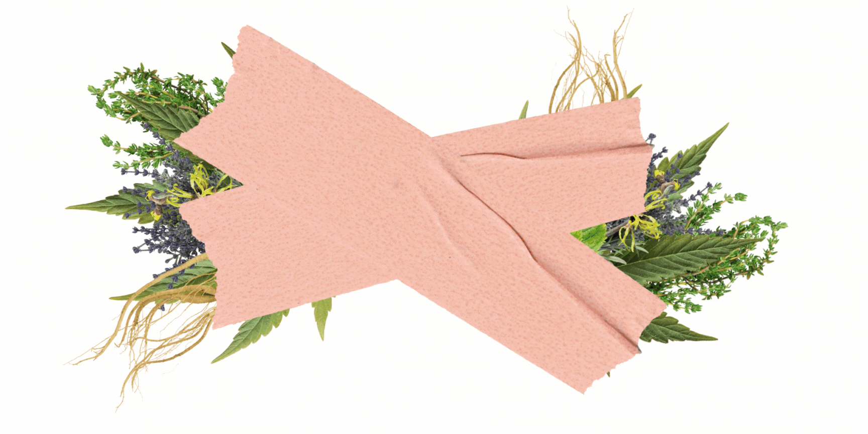 EXHALE MIAMI, THE HERBAL HEART STUDY, THE HIGHLY CONECTED, THC GIRLS, ESQUINA DE ABUELA, CANNA TOWN, BOXED WATER