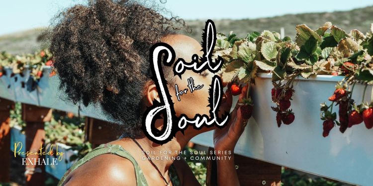 Soil for the Soul: Garden Enrichment Series presented by EXHALE&nbsp;NYC