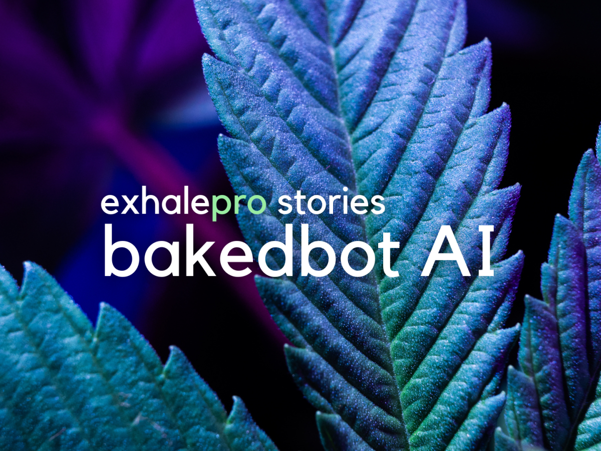 BakedBot AI: Leveling the Playing Field for Dispensaries w/ Accessible&nbsp;Tech.