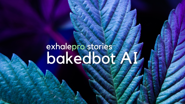 BakedBot AI: Leveling the Playing Field for Dispensaries w/ Accessible&nbsp;Tech.